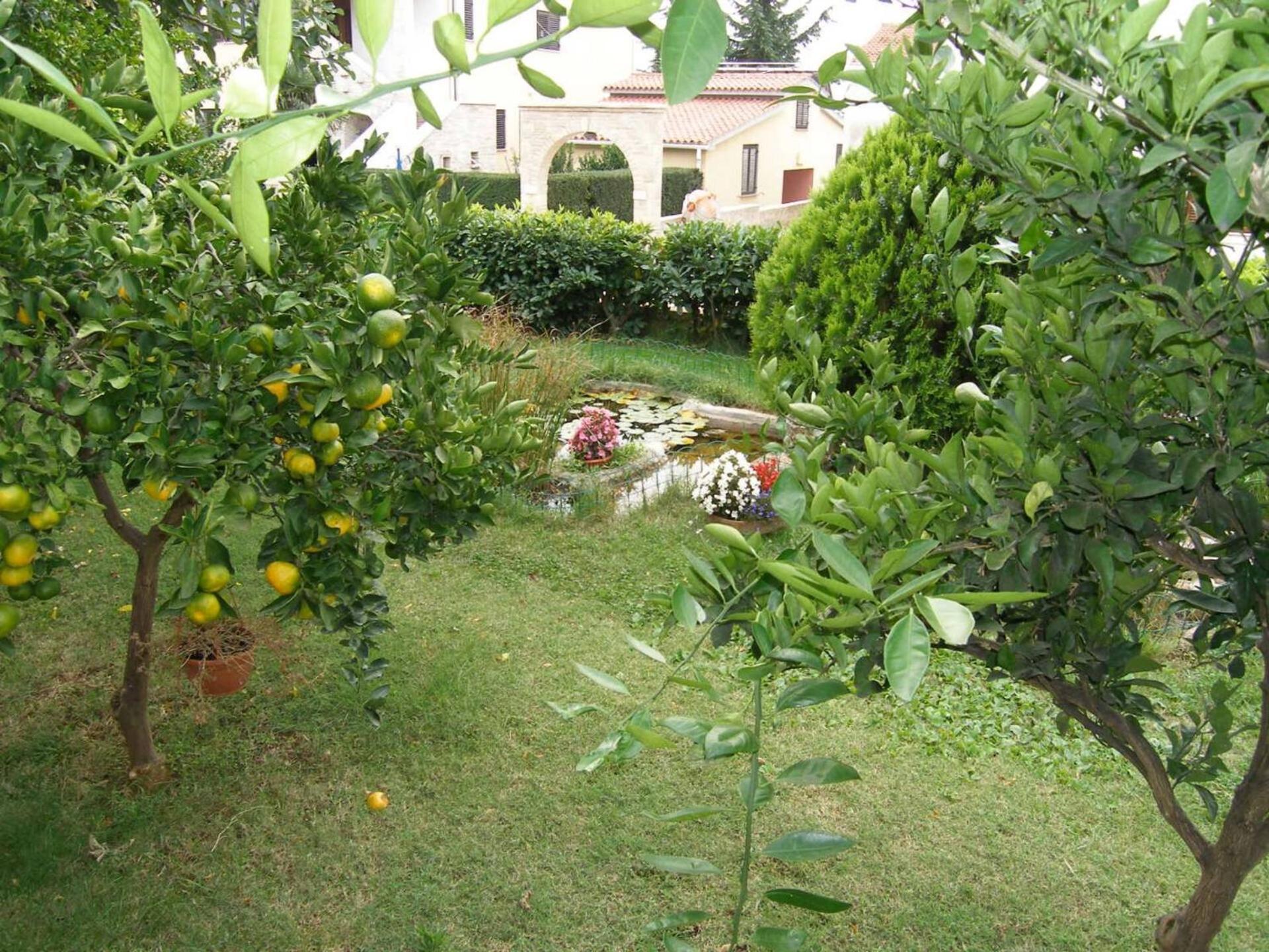 Family House With 2 Apartments - Irma Medolino Esterno foto